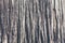 Wood texture Dead tree surface