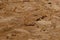 Wood texture material. Abstract wooden background.