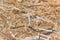 Wood texture. Oriented strand board, OSB. Building material