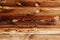 Wood texture sunburn old weathered wooden background