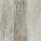 Wood texture. Wood texture background for design and decoration Wood texture. Surface of teak wood background for design and decor