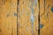 Wood texture with yellow flaked paint. Peeling paint on weathered wood