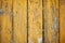 Wood texture with yellow flaked paint. Peeling paint on weathered wood