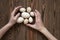 Wood toy eggs, hands, brown wood background