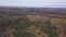 Wood and trees in autumn, aerial view, Canada. Clip. Helicopter view of an endless woodland with beautiful colors during