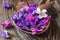 Wood violet flowers on a wooden spoon