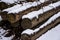 Wood waiting to be cut at lumber yard branches and logs on grass under the first snow