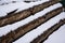 Wood waiting to be cut at lumber yard branches and logs on grass under the first snow