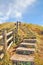 Wood Walk Way and Wood rail,Kew Mae Pan,Doi Inthanon,Thailand