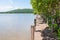 Wood walkway and mangrove field with lake