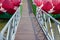 Wood walkway in waterfront