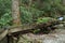 Wood Water flume transporting water