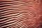 Wood wave texture