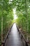 Wood way bridge in natural mangrove forest