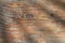 Wood weathered plank brown texture background.