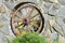 Wood wheel mounted in stone fence