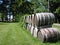 Wood wine barrels