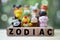 Wood word of ZODIAC with Chinese zodiac rubber toys animal