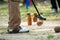 Woodball player on field with woodball gate and stick on competi