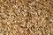 Woodchip solid fuel for Biomass plant from forest waste