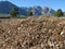 Woodchips and mountains