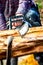 Woodcutter cutting a tree with a chainsaw