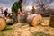 Woodcutter, logger, is cutting firewood, logs of wood, with motor chainsaw