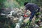 Woodcutter saws a fallen tree with a chainsaw in forest. lumberjack sawing log in his back yard