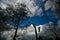 Woodcutter silhouette on the top of a tree in action in denmark