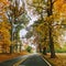 Wooded Autumn Drive