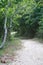 Wooded Beach Trail at Gardiners Bay New York