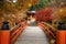 Wooded bridge in Daigoji temple with autumn