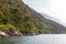 Wooded cliffs among the sea. FiordLand National Park. South Island, New Zealand