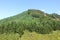 Wooded hill on a sunny summer day