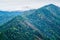 Wooded hillside with a snowy peak