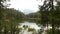 wooded lake below the peaks of the Alps