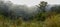 Wooded mountainside in a low lying cloud