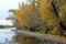 Wooded riverbank in autumn with trees in fall colors