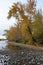 Wooded riverbank in autumn with trees in fall colors