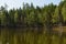 Wooded shore of a lake with reflection in the water