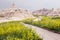 Wooded Walkway | Badlands National Park, South Dakota, USA