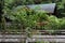 Woodem houses in tropical rainforest with lush nature in Borneo Island, Danum Valley Borneo Rainforest Lodge