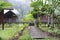 Woodem houses in tropical rainforest with lush nature in Borneo Island, Danum Valley Borneo Rainforest Lodge