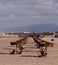 Wooden adirondack chairs and palm umbrella tables line a beach on the Pacific ocean