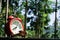 Wooden airplane model and red alarm clock on the wood with beaut