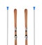 Wooden alpine skis isolated