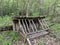 Wooden animal feeder in the forest. Canopy for feeding forest animals. Wooden structure in the park