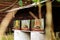 Wooden apiary with beehives