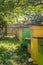 Wooden apiary full of bees in summer garden