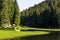 Wooden arbor in forest neath the lake